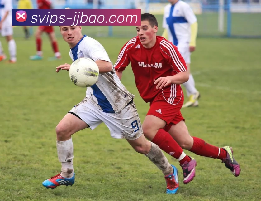 竞技宝亚洲电竞平台生态图